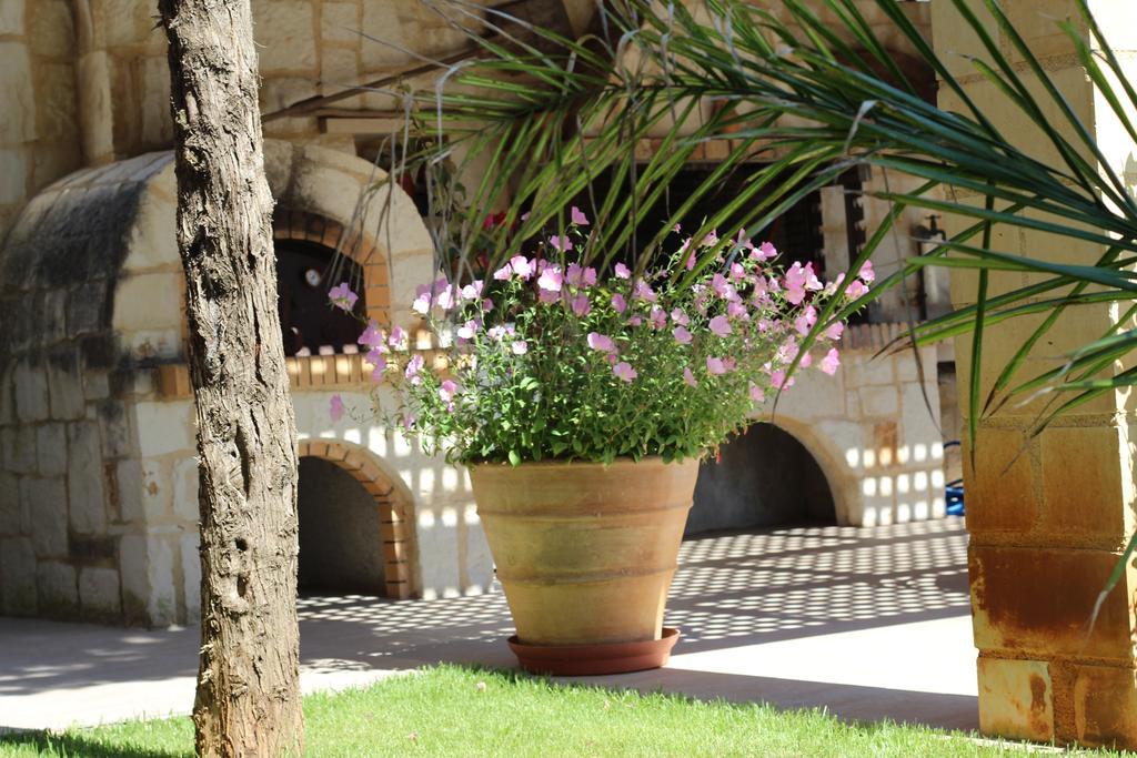 Villa Alimedon Almirida Exterior foto